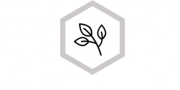 La démarche environnementale